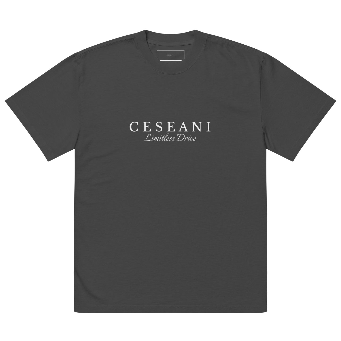 Ceseani Oversized faded t-shirt