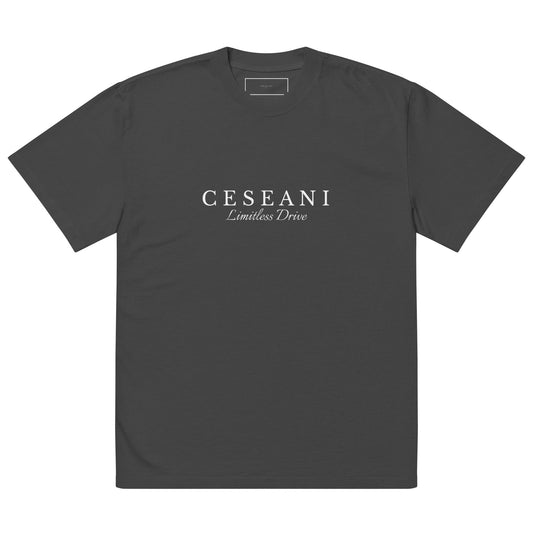 Ceseani Oversized faded t-shirt