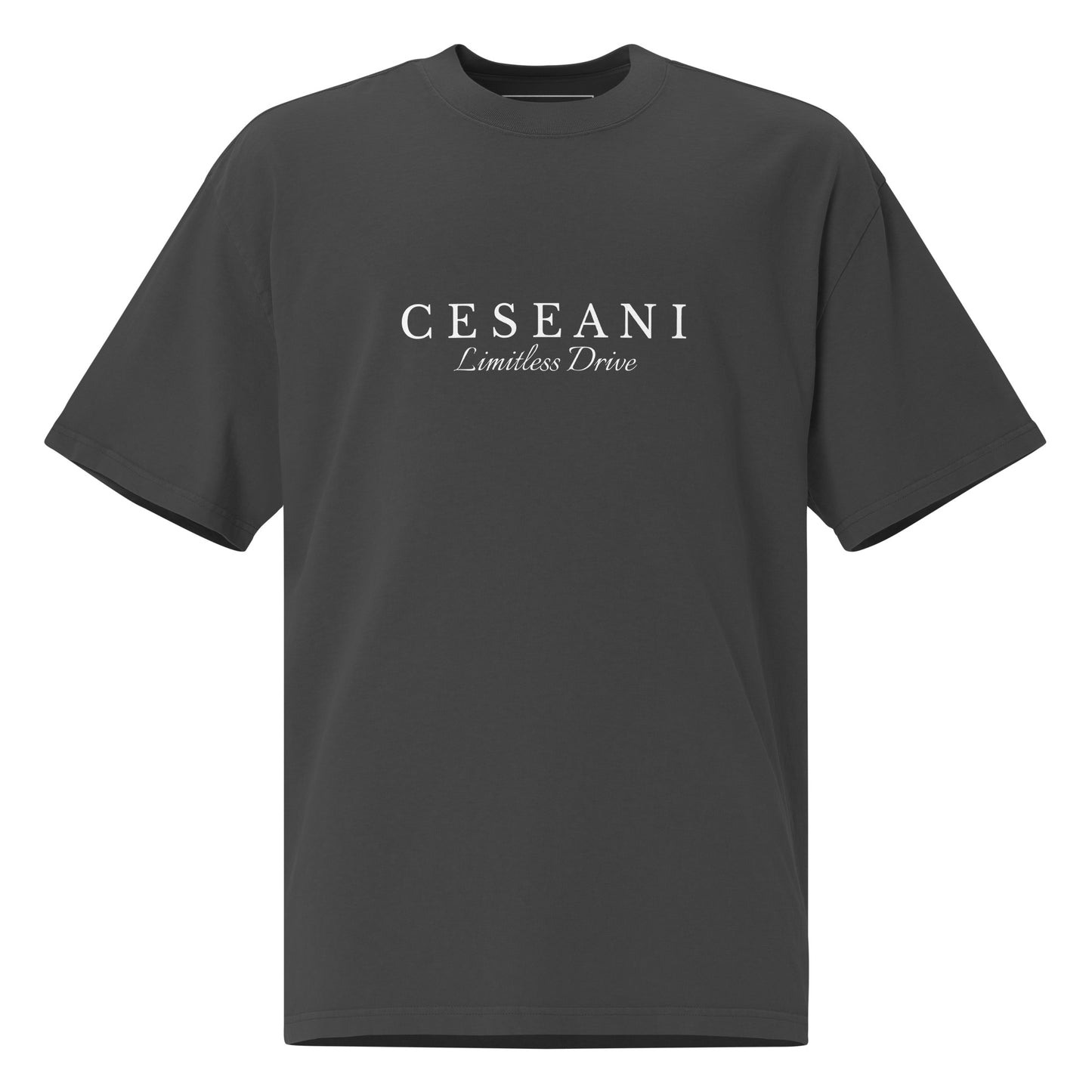 Ceseani Oversized faded t-shirt