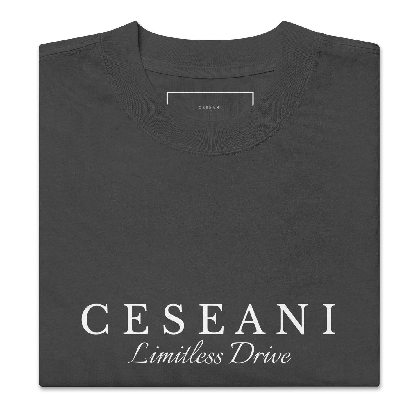 Ceseani Oversized faded t-shirt