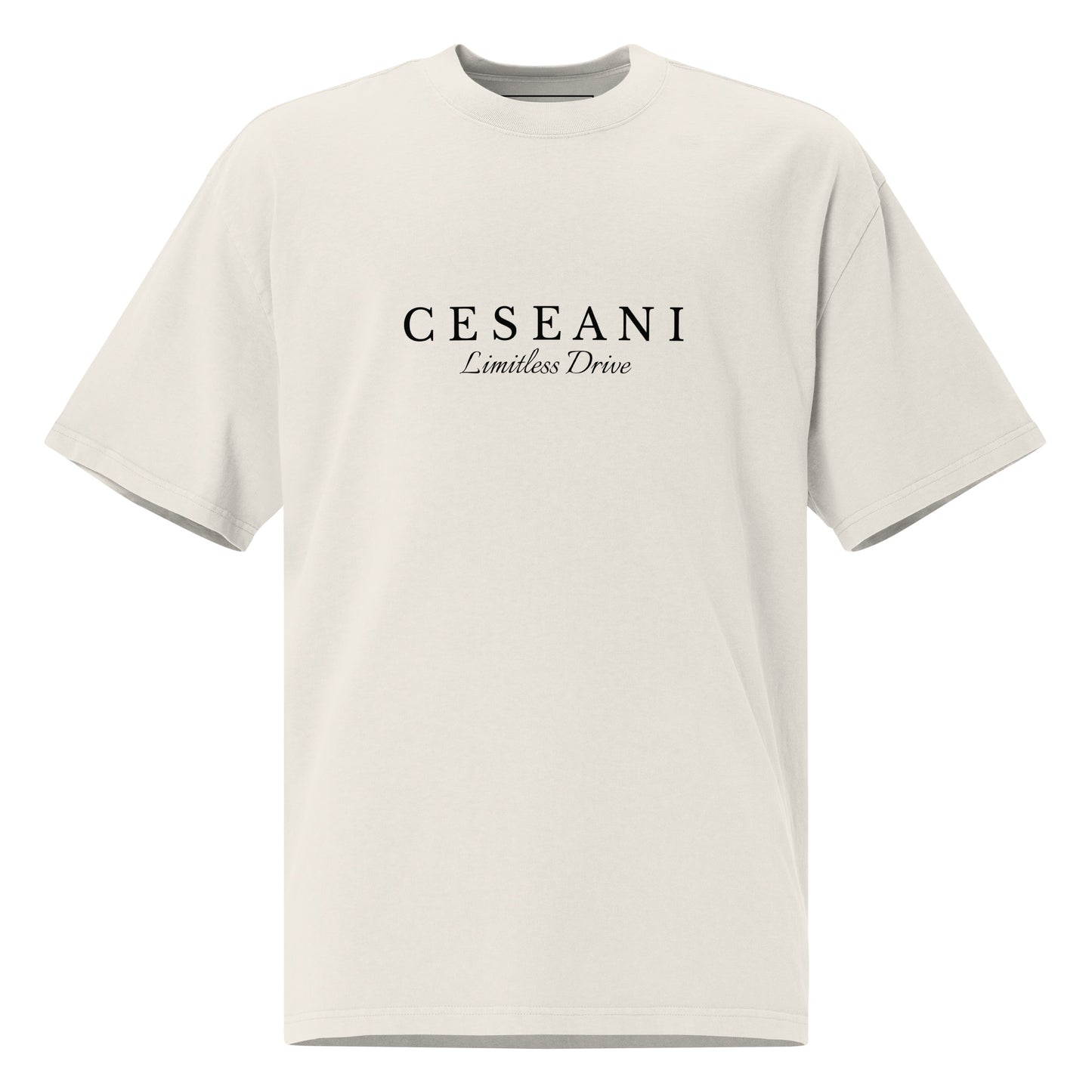 Ceseani Oversized faded t-shirt