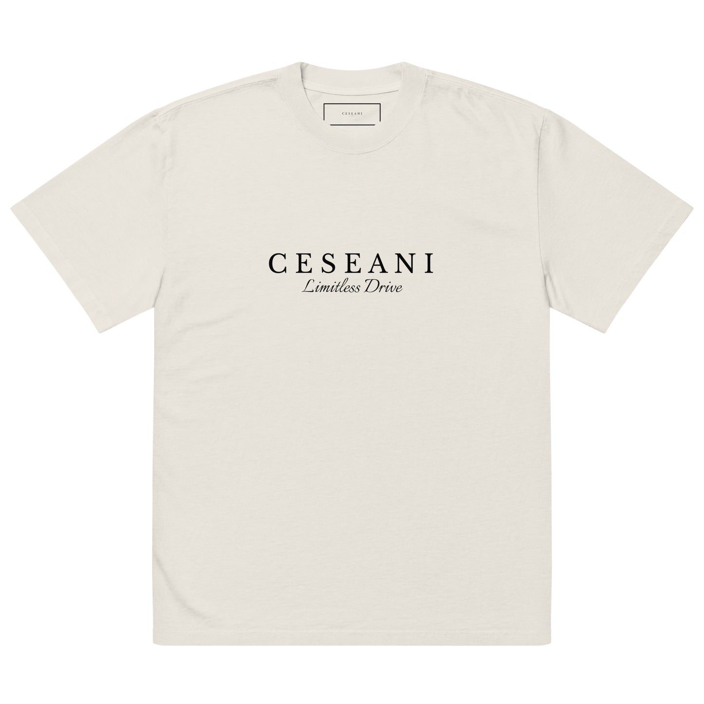 Ceseani Oversized faded t-shirt