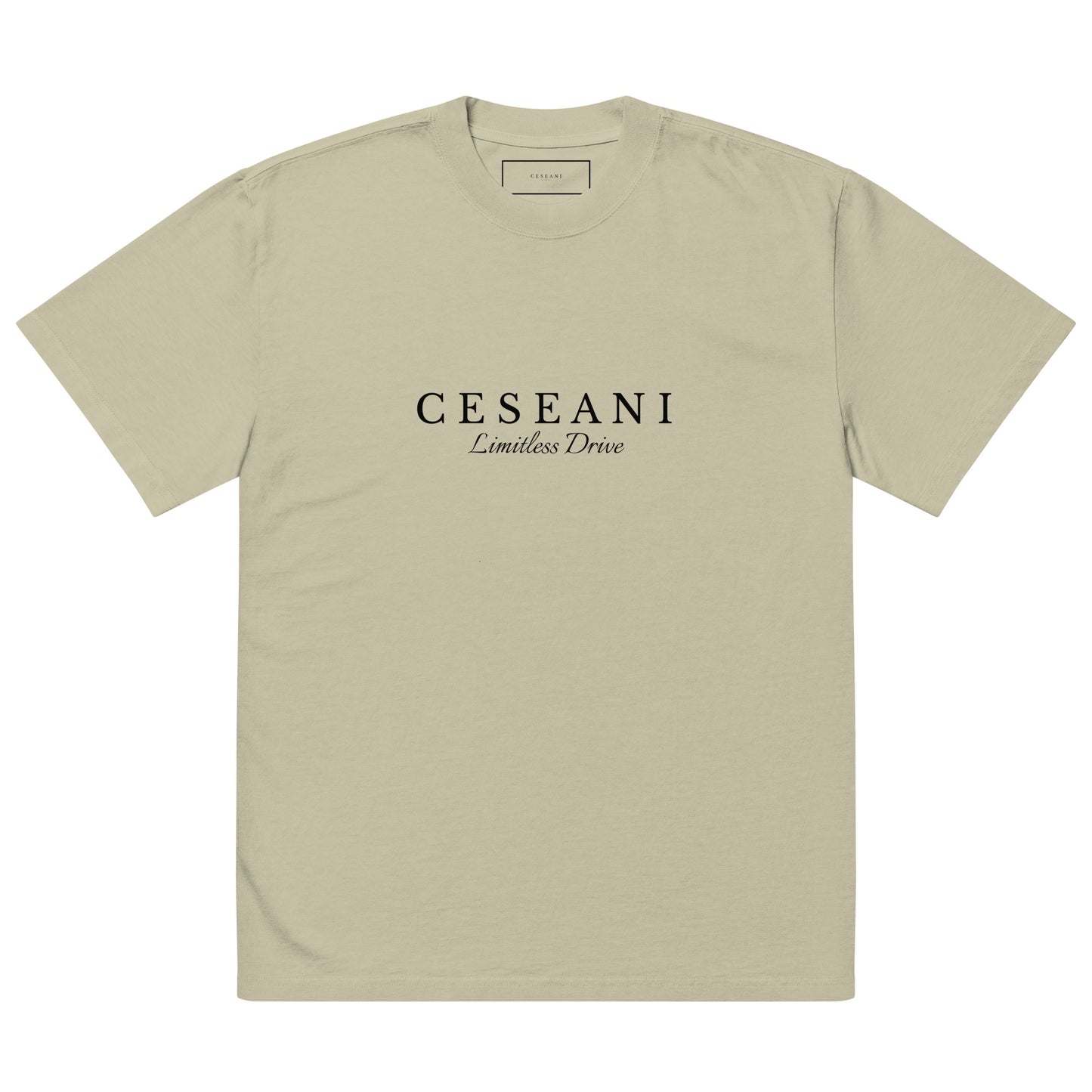 Ceseani Oversized faded t-shirt