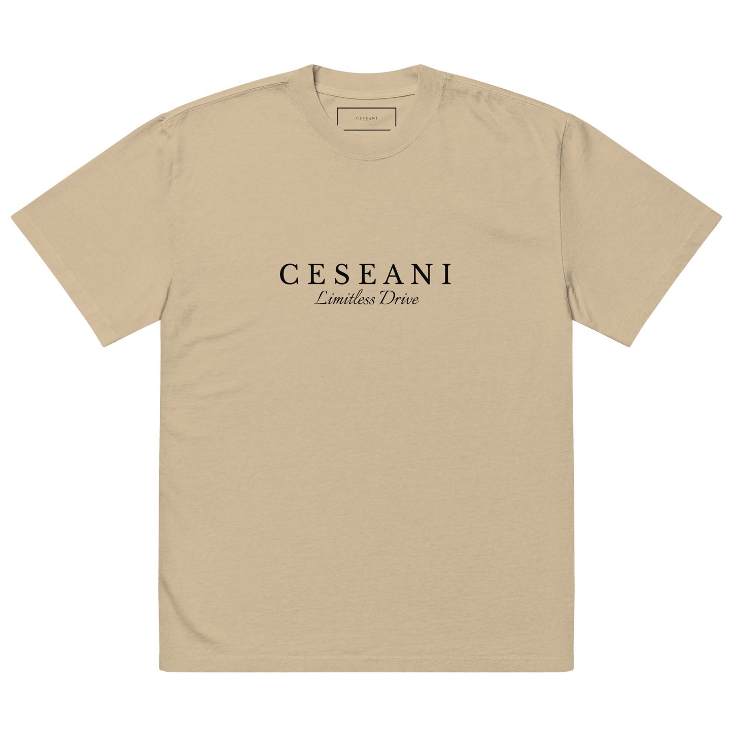 Ceseani Oversized faded t-shirt