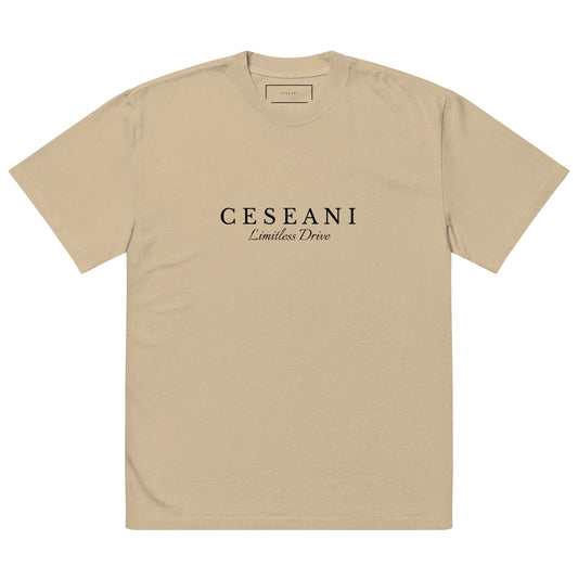 Ceseani Oversized faded t-shirt