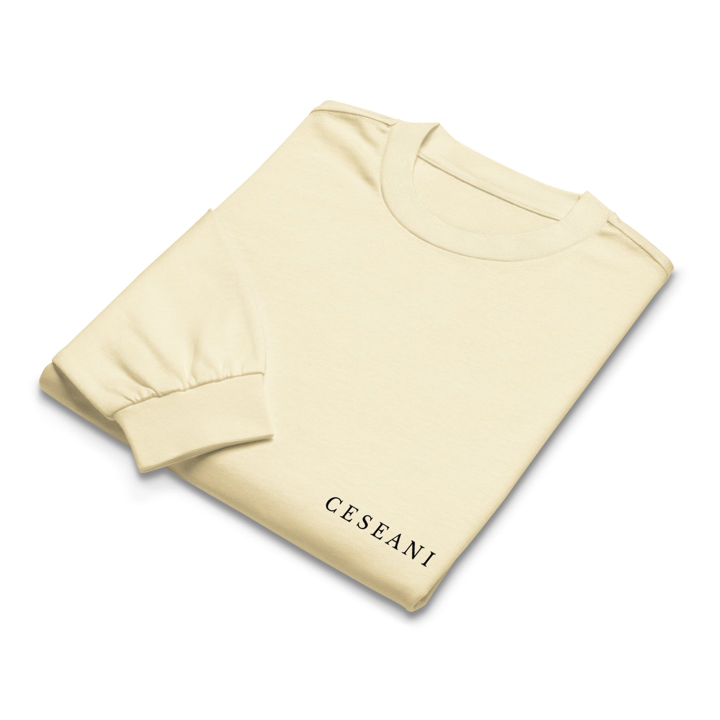 Ceseani Premium heavyweight long sleeve shirt